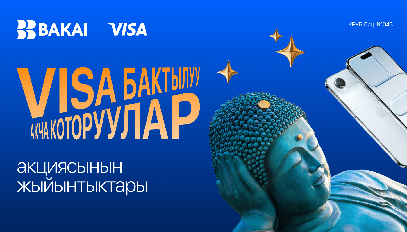 “Visa бактылуу акча которуулар” акциясынын жыйынтыктары